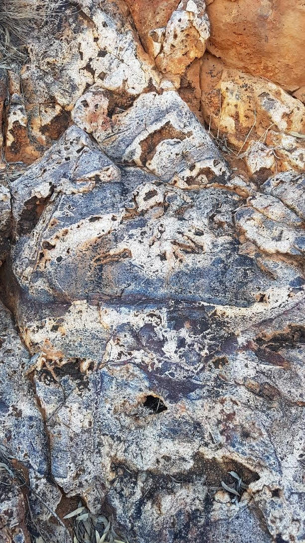 Hydrothermal breccia at Mt Gee