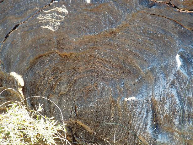 Stromatolites