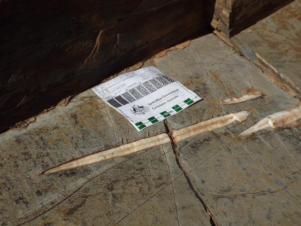 Veins hosting possible deep, hot biosphere microfossils, Oppaminda Gorge