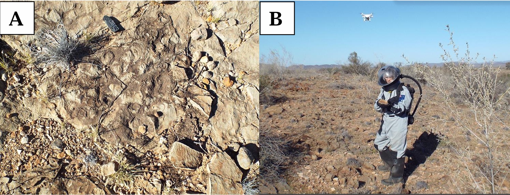 Bedding-plane exposure of stromatolites in the Trezona Limestone and a geologist in a VSSEC simulated spacesuit assessing a hand specimen, recorded by the Phantom 2 quadcopter