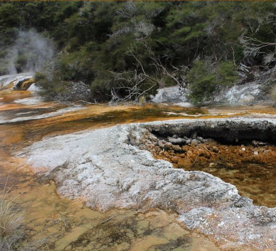 Recently-drained hot-spring pool at Waimangu with drying microbial mats and silica deposits