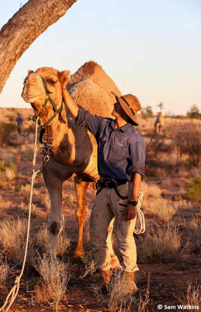 Thomas Windsor in the field with a camel
