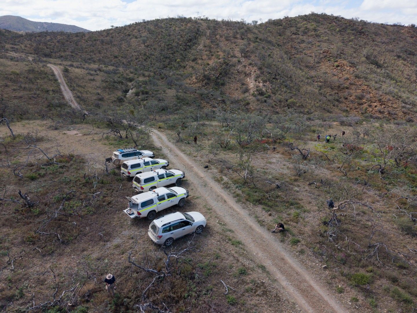 Aerial view of five white 4WDs parked beside a dirt track in hilly country at Arkaroola