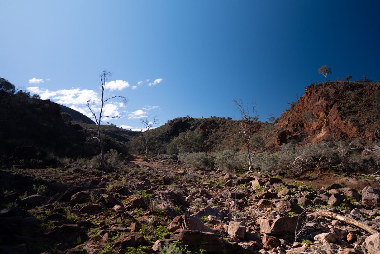 A rocky creek bed leading into a gorge with red cliffs and bare trees