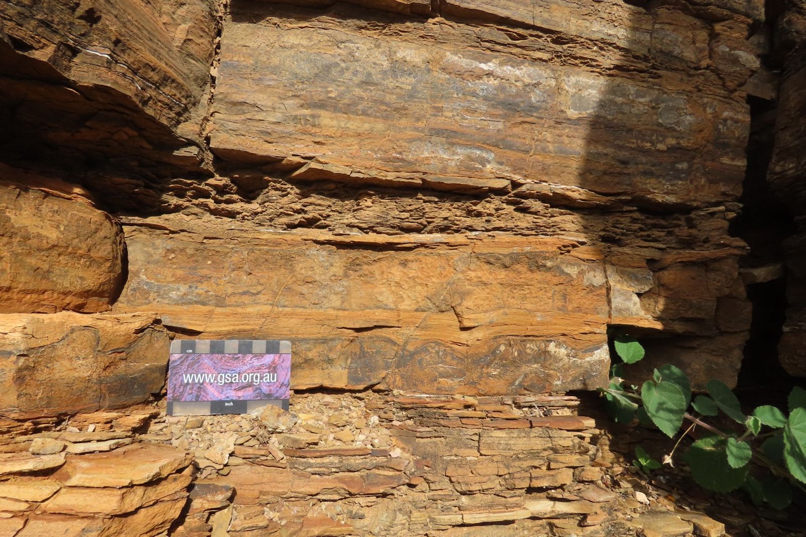 Layered orange rock with a scale card