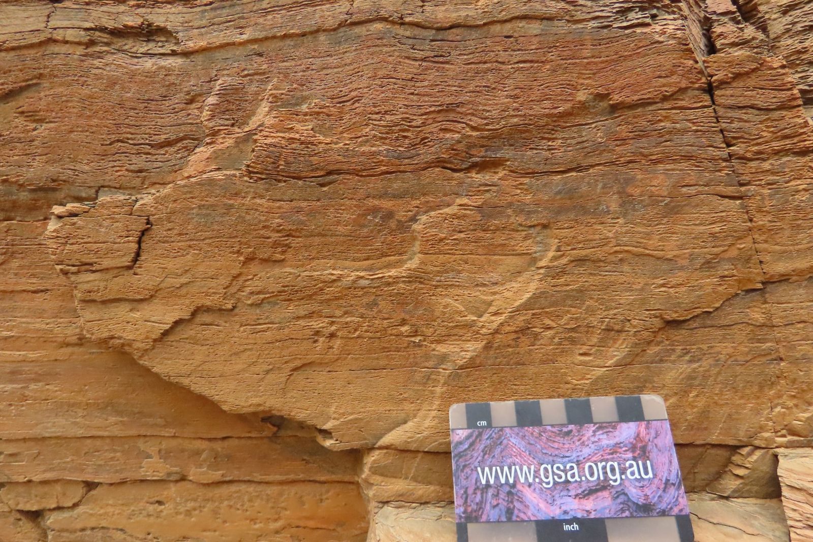 Close-up of a textured orange rock face with a scale card