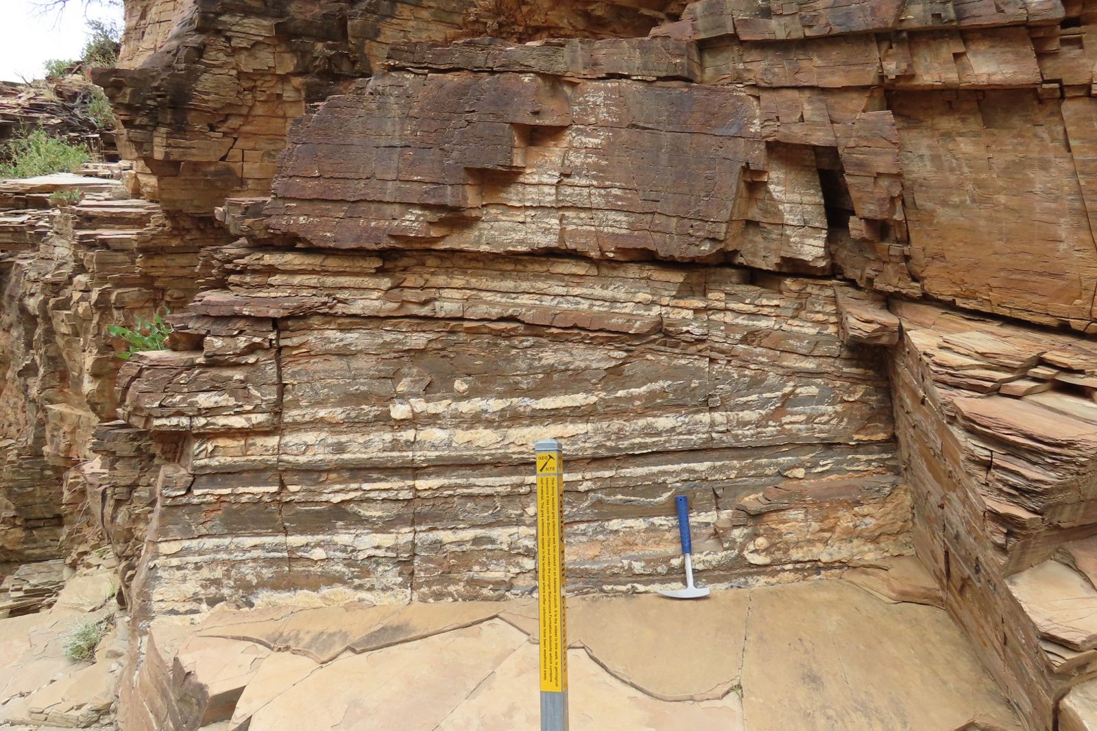A wall of thinly layered pale and brown rock with a yellow measuring staff and a hammer for scale
