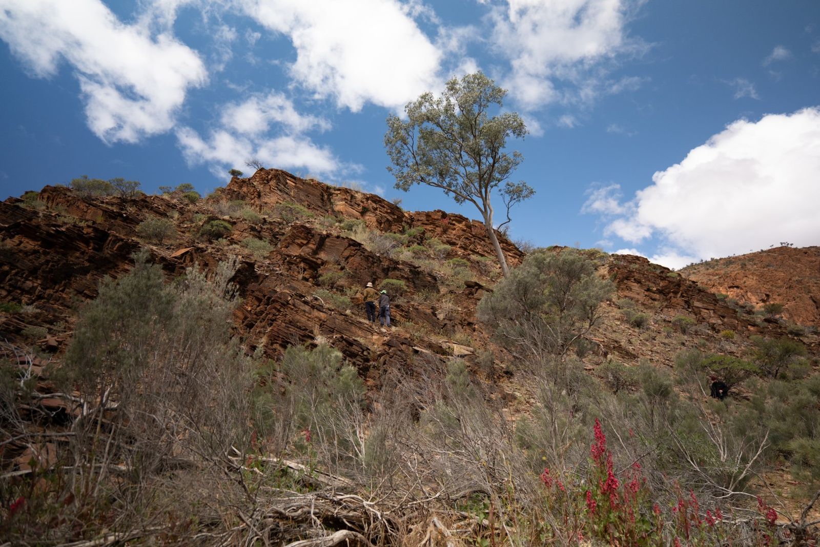 Looking up at steep rocky slopes with shrubs and a tree against a blue sky